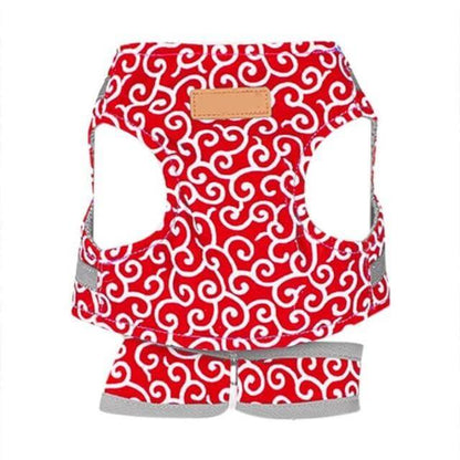 Adjustable Cat Harness Vest Set with Leash for Safe Outdoor Walks