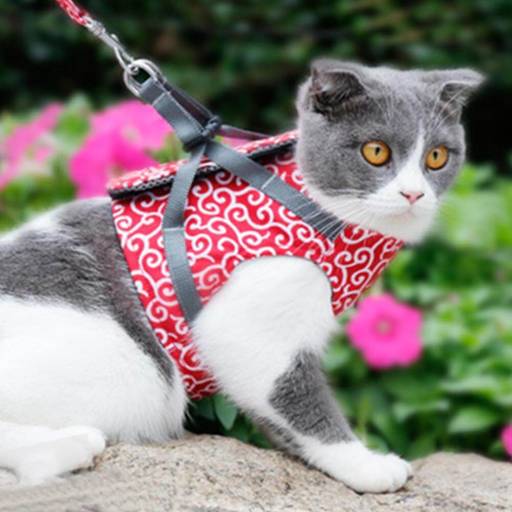 Adjustable Cat Harness Vest Set with Leash for Safe Outdoor Walks