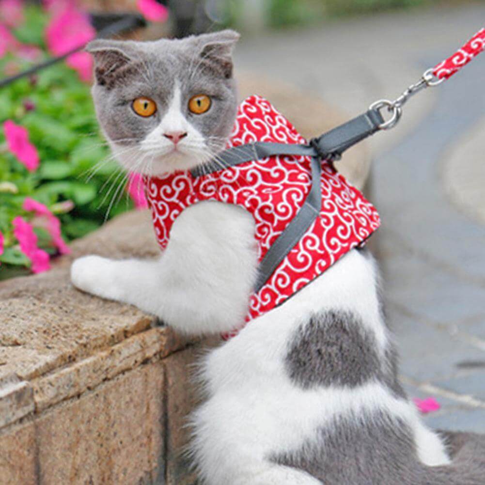 Adjustable Cat Harness Vest Set with Leash for Safe Outdoor Walks