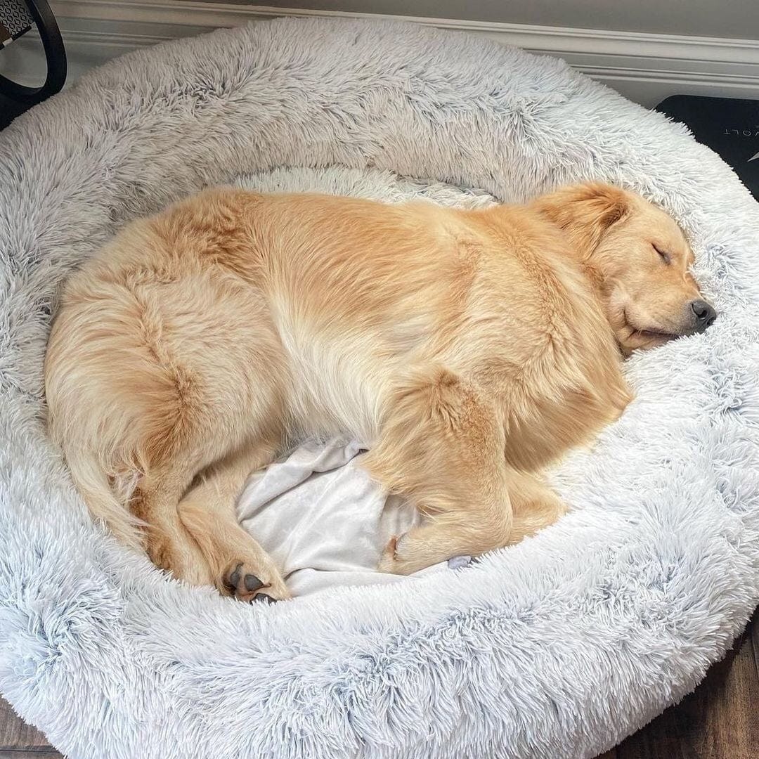 Calming Dog Cat Bed Soft Plush Round Pet Bed Raised Edge