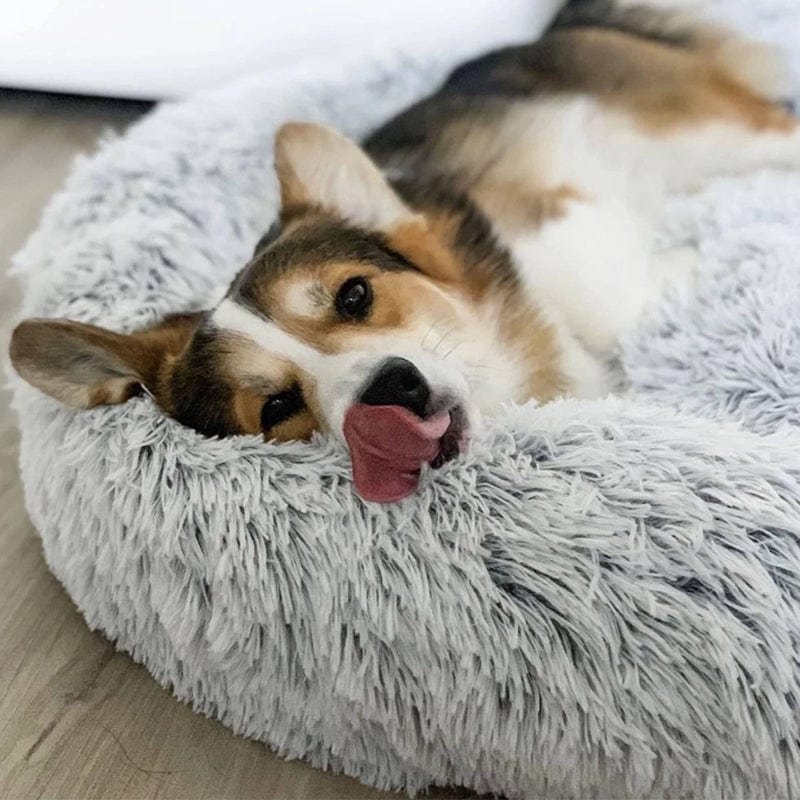 Fluffy Calming Pet Bed Anti Anxiety Plush Dog Cushion