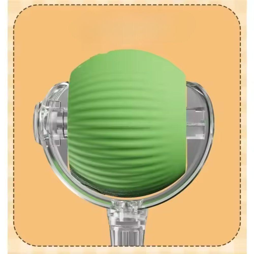 Interactive Pet Ball USB Rechargeable Dog Cat Toy
