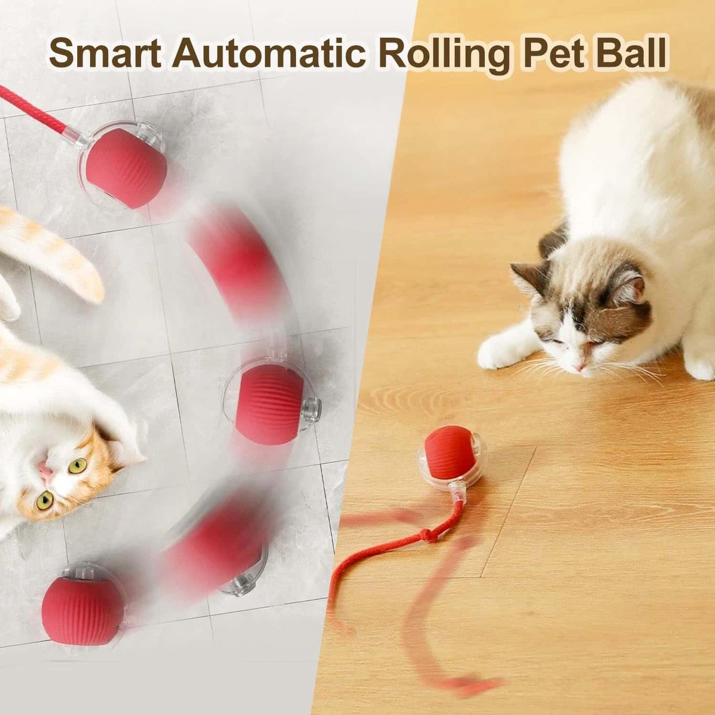 Interactive Pet Ball USB Rechargeable Dog Cat Toy