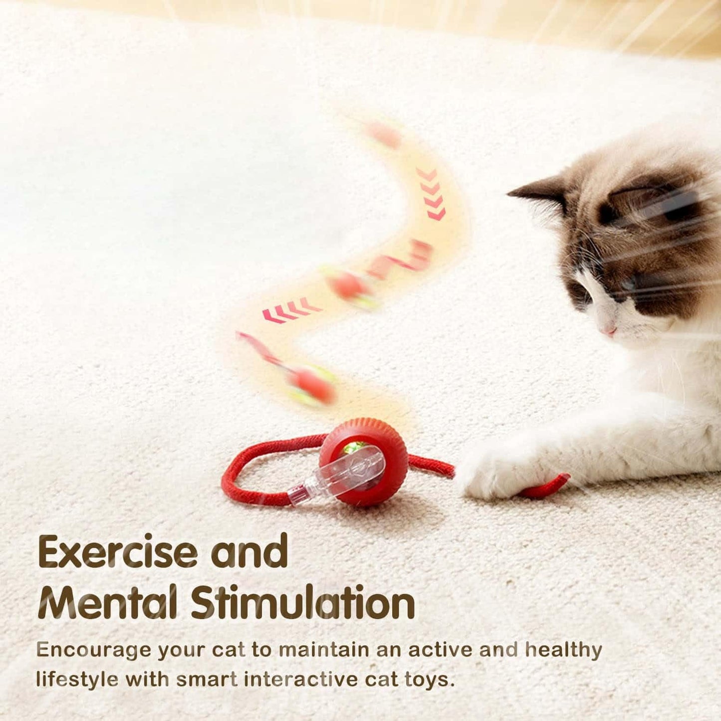 Interactive Pet Ball USB Rechargeable Dog Cat Toy