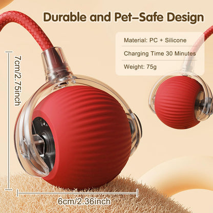 Interactive Pet Ball USB Rechargeable Dog Cat Toy