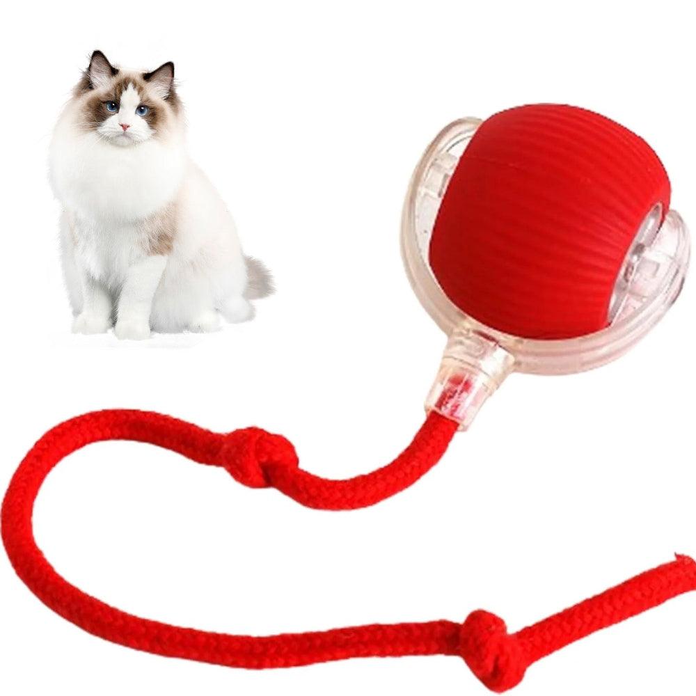Interactive Pet Ball USB Rechargeable Dog Cat Toy