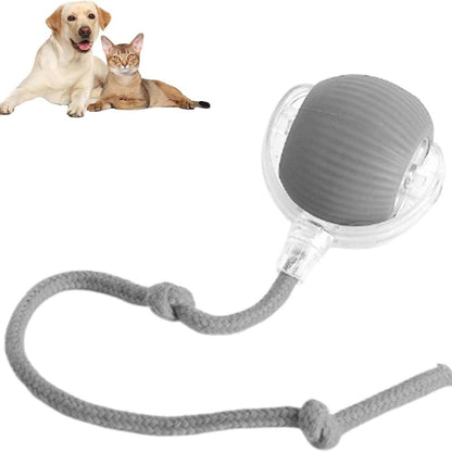 Interactive Pet Ball USB Rechargeable Dog Cat Toy