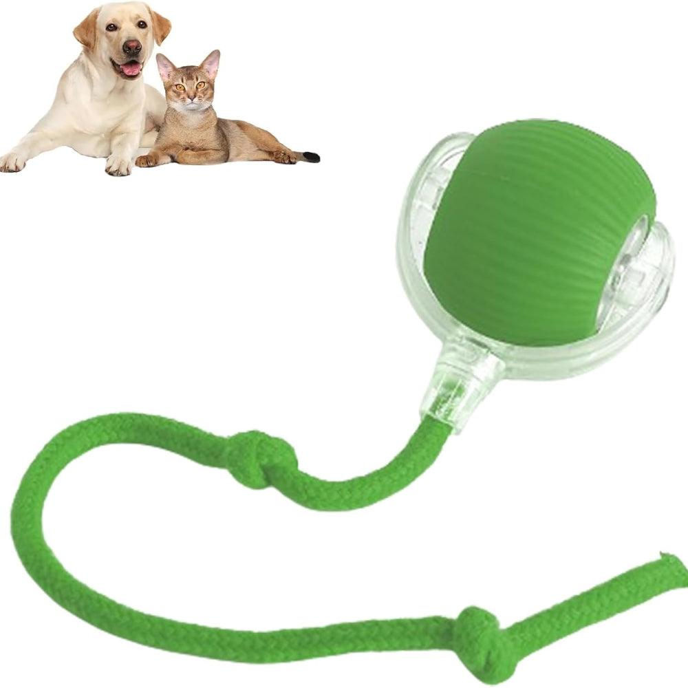 Interactive Pet Ball USB Rechargeable Dog Cat Toy