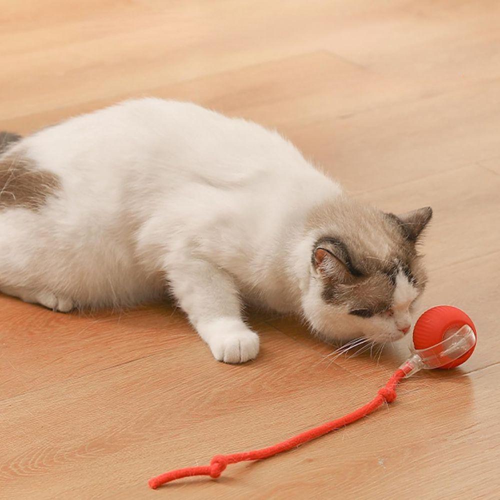 Interactive Pet Ball USB Rechargeable Dog Cat Toy