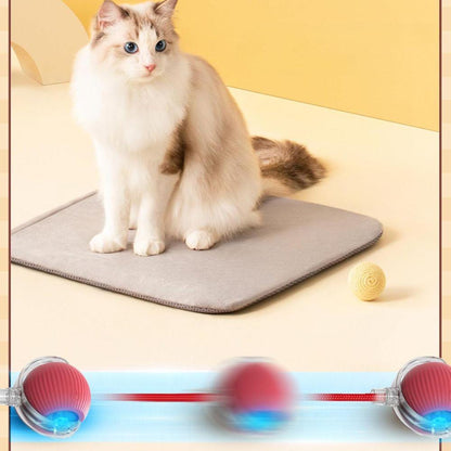 Interactive Pet Ball USB Rechargeable Dog Cat Toy