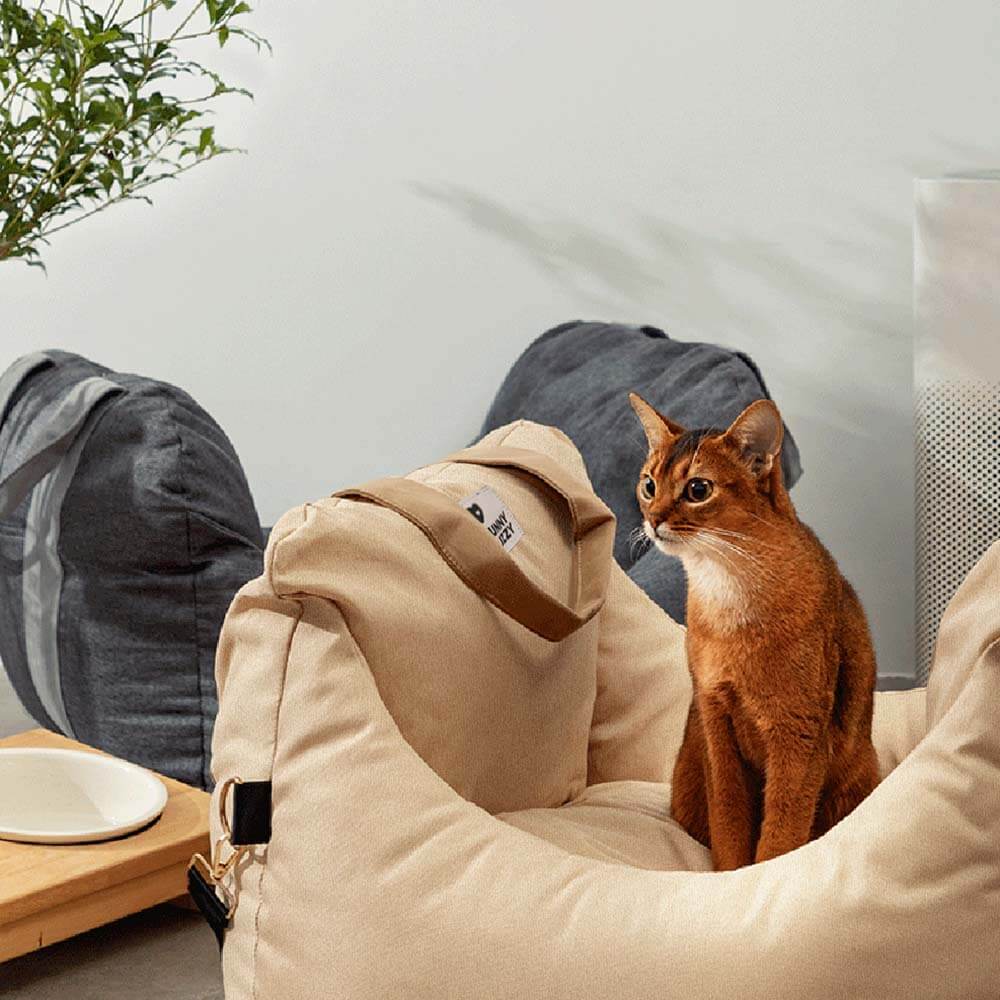 Portable Dog Car Travel Bed with Safety Cushion