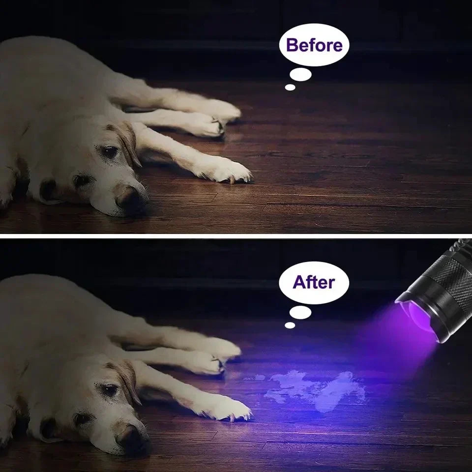 UV Inspection Flashlight Pet Stain Detector Portable Blacklight Urine Detection Torch
